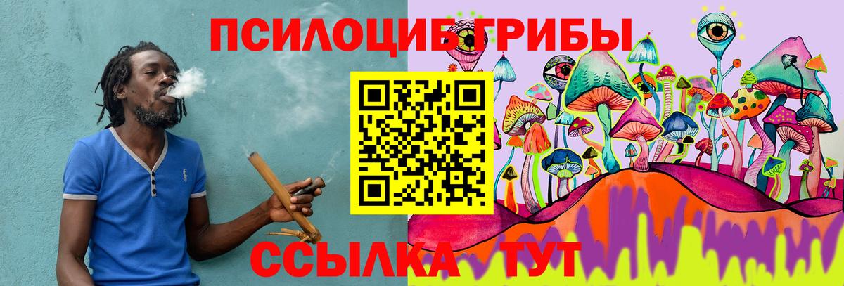 Псилоцибиновые грибы MAGIC MUSHROOMS Всеволожск