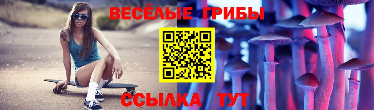 Всеволожск  Галлюциногенные грибы Cubensis  Галлюциногенные грибы Magic Shrooms  Вход с VPN 